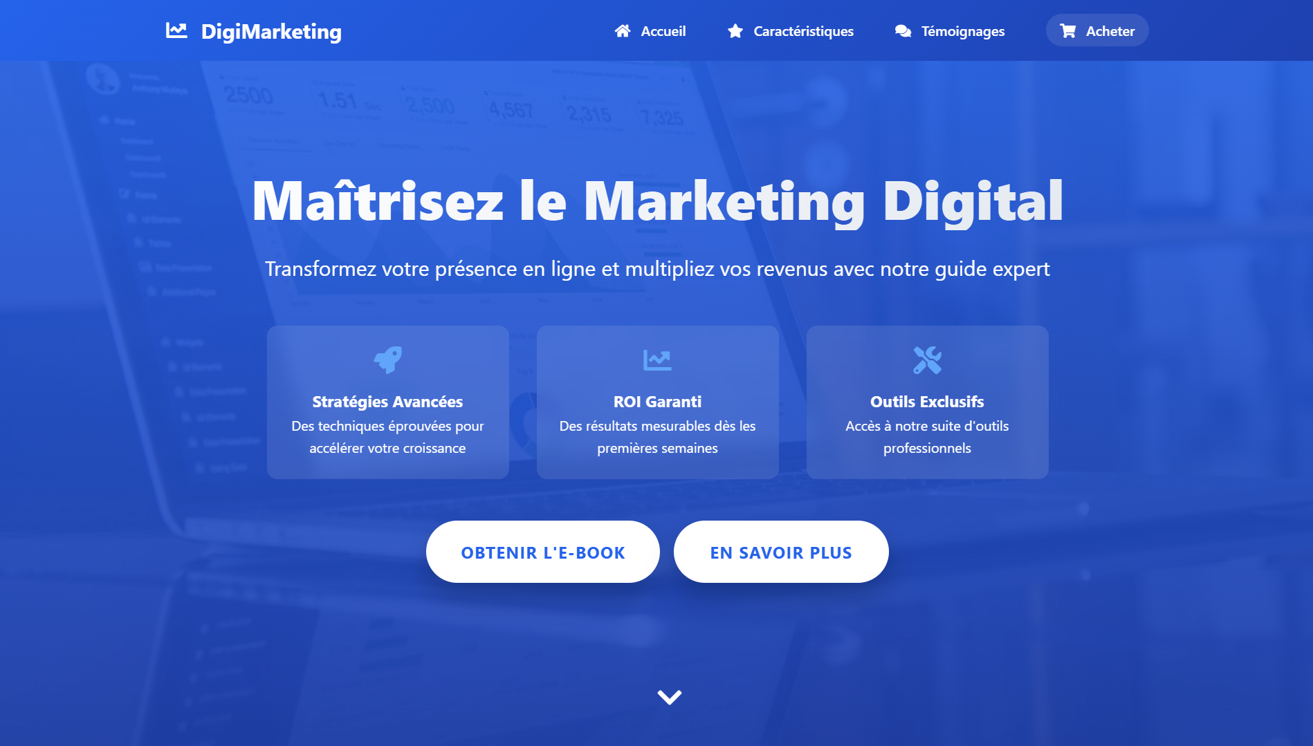 Projet 4 Vue 1